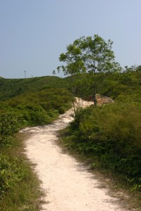 img7251