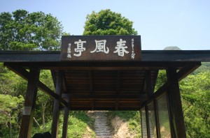 img9537