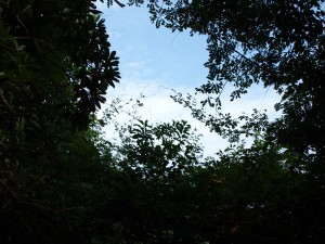 P9270276