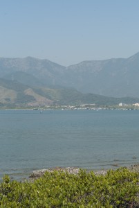 L1000564