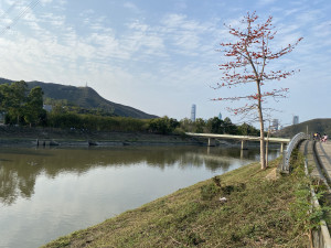 IMG 7061a