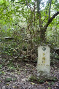 WL9430930       